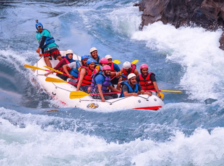 Dandeli
